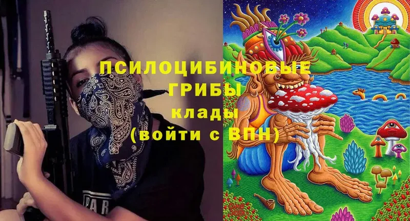 Галлюциногенные грибы Cubensis  Ворсма 